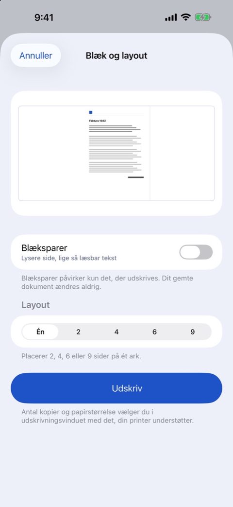 Indstillinger for blæk og layout ved udskrift af et dokument i Papiruno