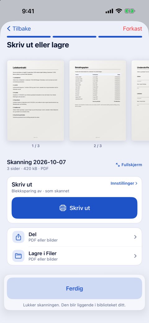 Trinnet Skriv ut eller lagre i Papiruno, med en Skriv ut-knapp