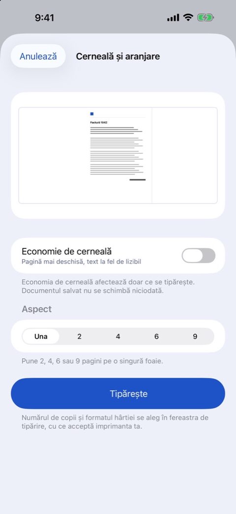 Opțiuni de cerneală și aranjare pentru tipărirea unui document în Papiruno