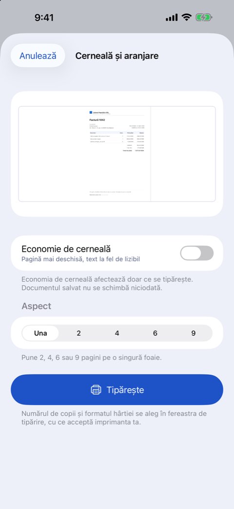 Opțiuni de cerneală și aranjare: pagini pe foaie și economie de cerneală cu previzualizare