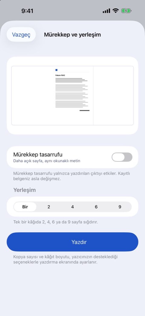 Papiruno’da bir belgeyi yazdırmak için mürekkep ve düzen seçenekleri